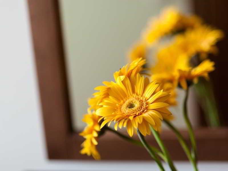 AirInn Vilnius Hotel Hotel 3*